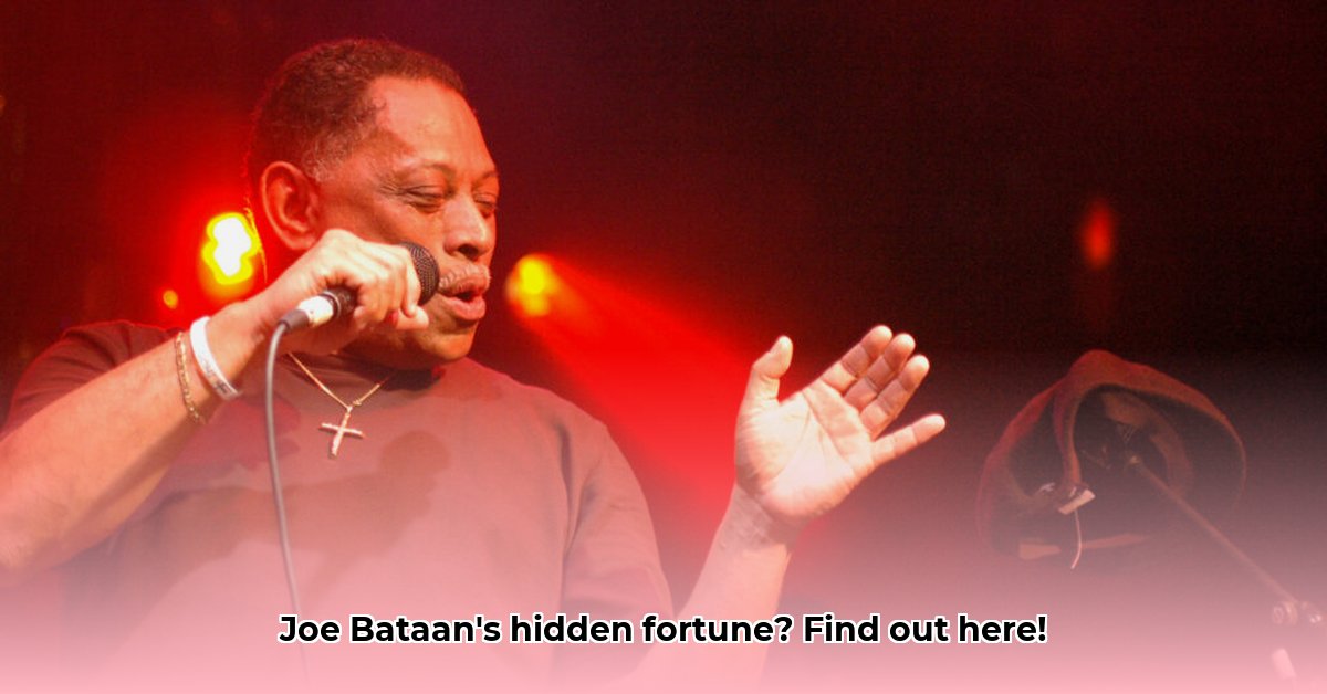 joe-bataan-net-worth